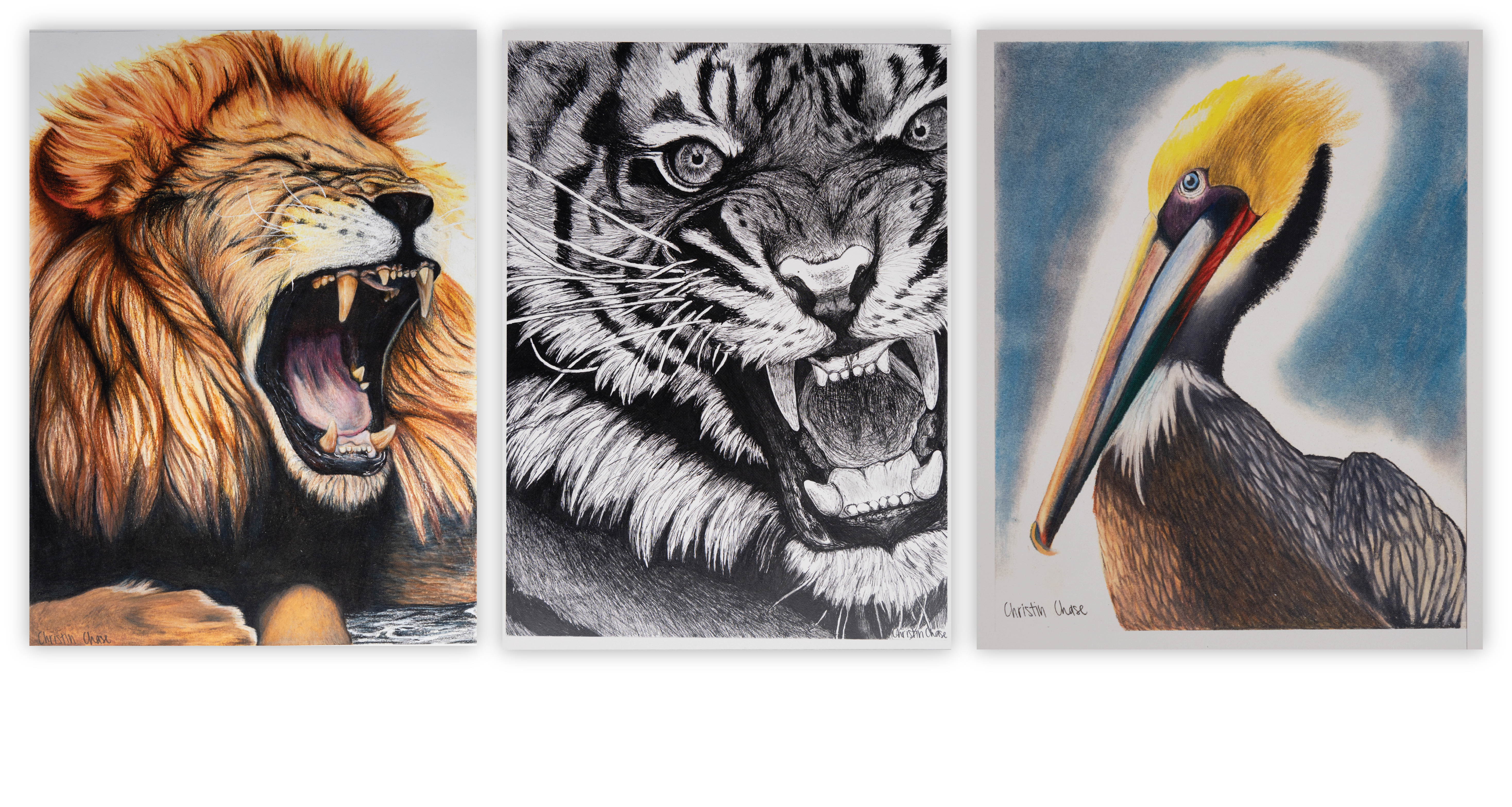 christin chase animal drawing artwork